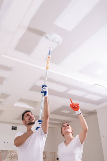 Trusted Lakeshore, LA Mold Removal Experts